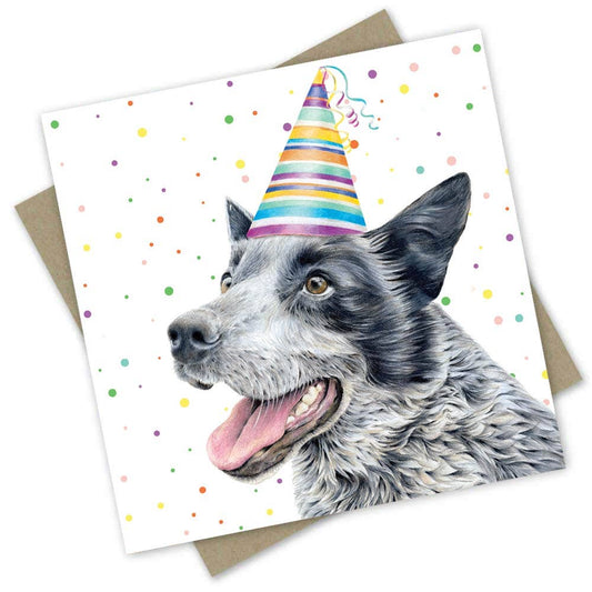 Blue Heeler - Birthday Card