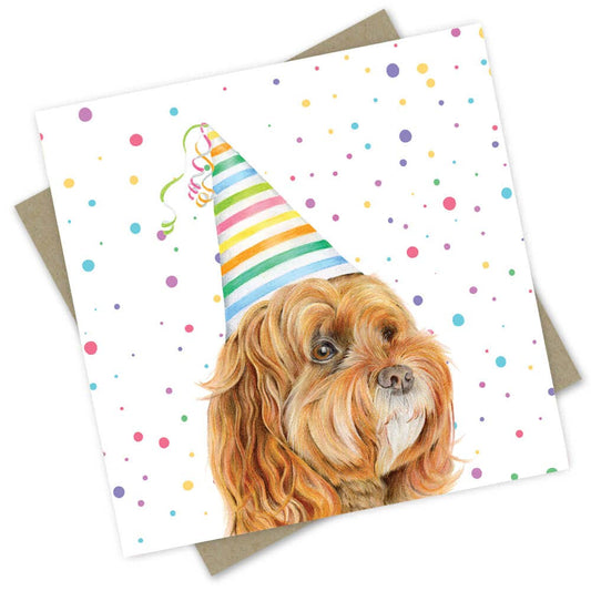 Macintosh the Cavoodle - Birthday Card