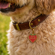 Berry Special Pet ID Tag