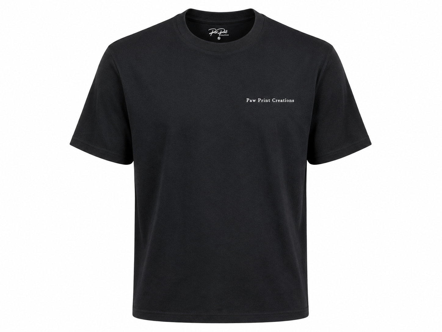 CatPersonObviouslyTee_Black_GMFront.png