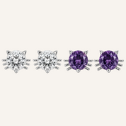 Floral patterned dog collar on a white background