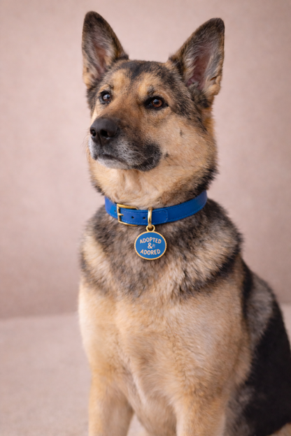 Adopted & Adored Pet ID Tag