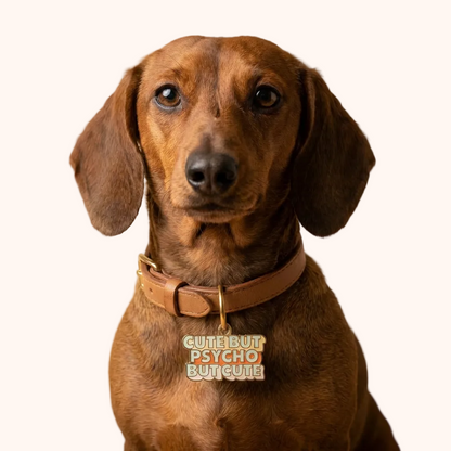 Cute But Psycho, But Cute Pet ID Tag