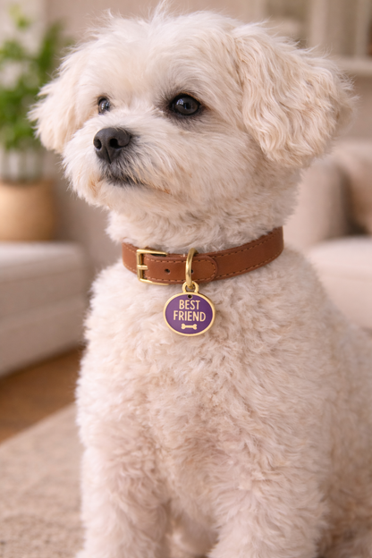 Best Friend ID Tag