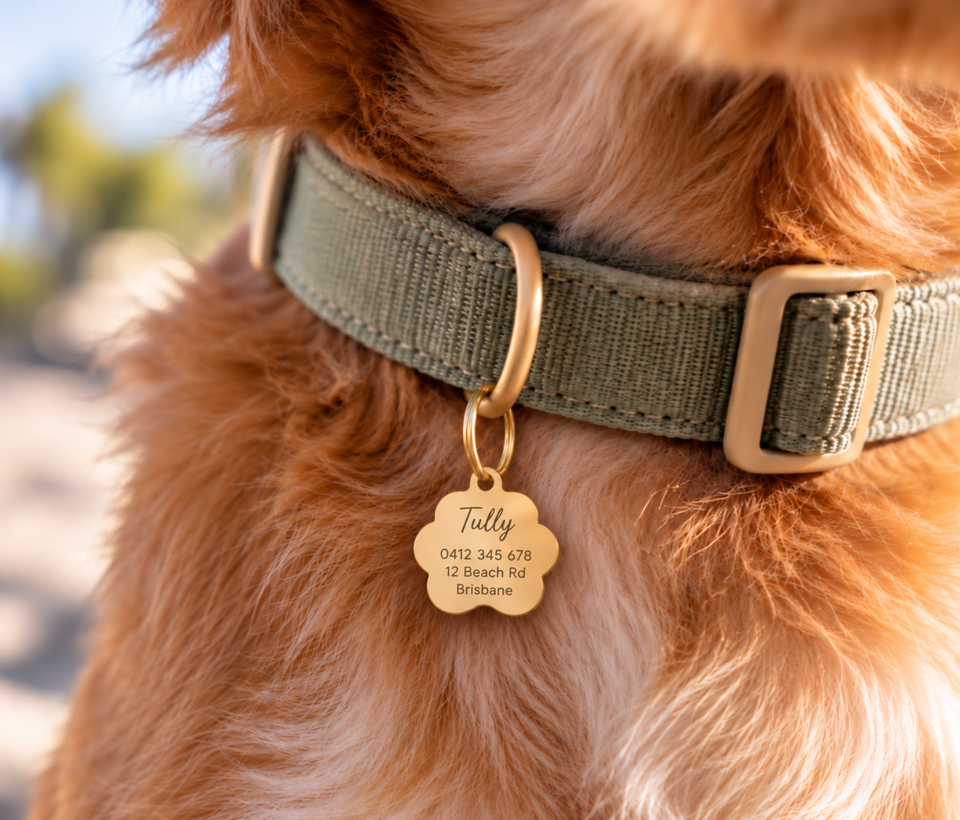 Glitter Paw Print Pet ID Tag