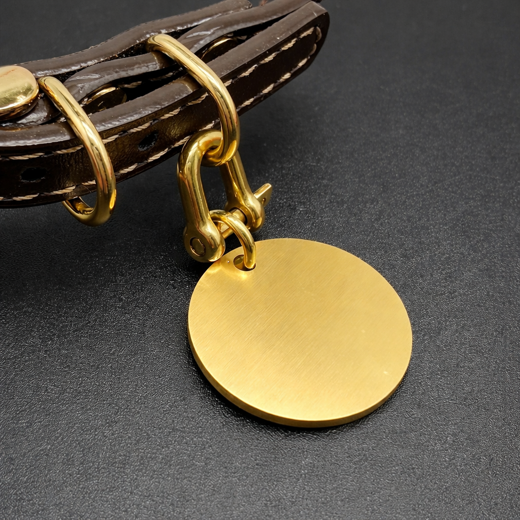 Personalised Brass Pet ID Tag