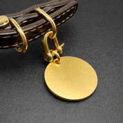 Personalised Brass Pet ID Tag