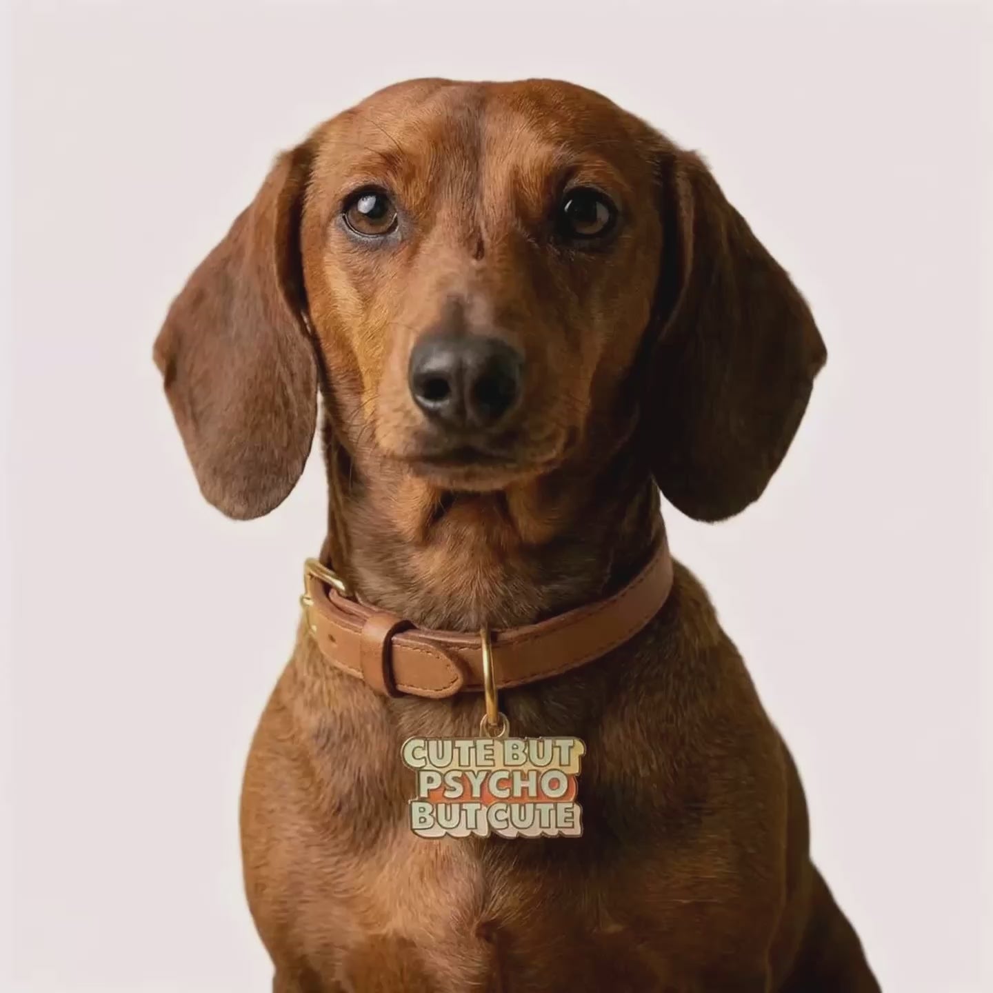 Cute But Psycho, But Cute Pet ID Tag